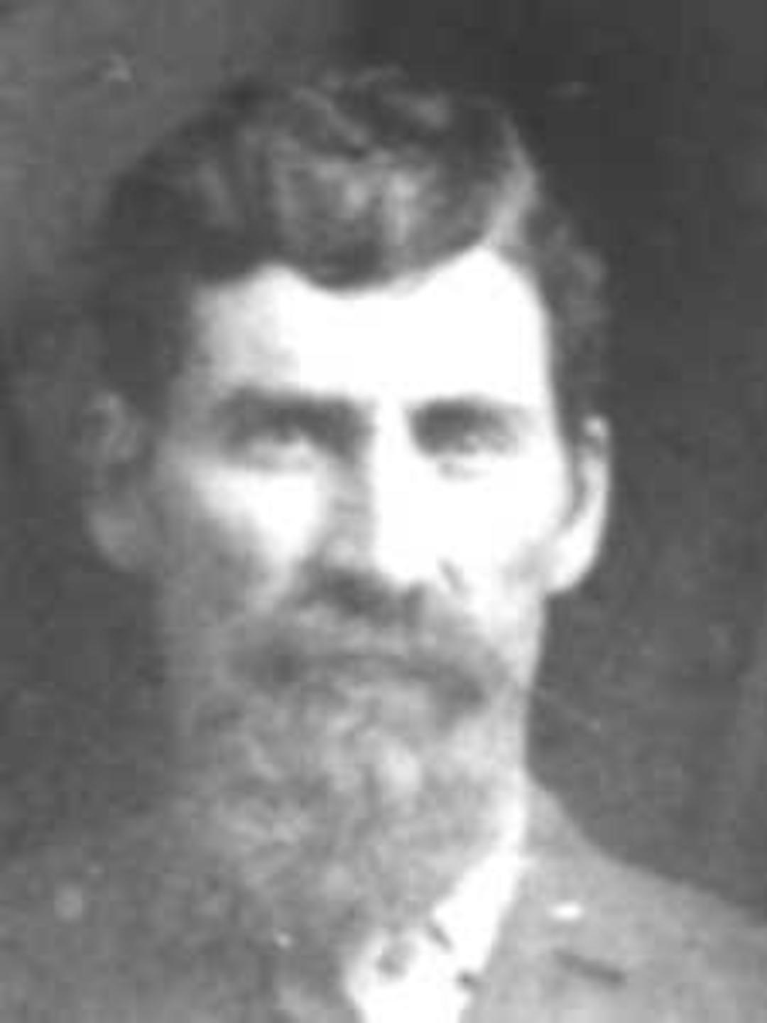 William Robison (1829 - 1897) Profile